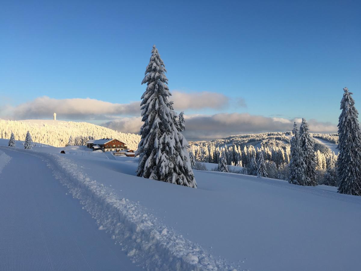 Berggasthof-Pension Todtnauer Hutte Feldberg  Eksteriør billede