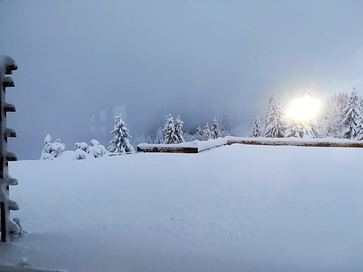 Berggasthof-Pension Todtnauer Hutte Feldberg  Eksteriør billede